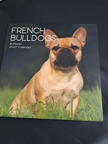 French bull dogs calendar - french,