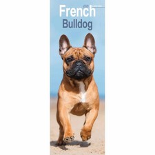 French Bulldog Slim Calendar