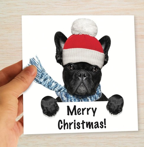 French bulldogs christmas - french,