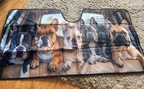Large car windscreen sun shade - sun,