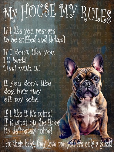 Cute french bulldog house - cute,