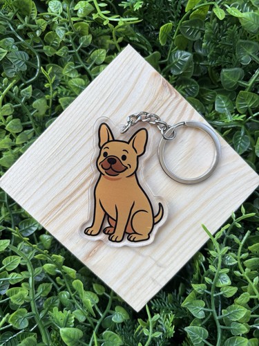 Fawn french bulldog - fawn,
