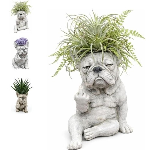 Funny french bulldog - funny,