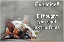 French Bulldog Pet Dog funny