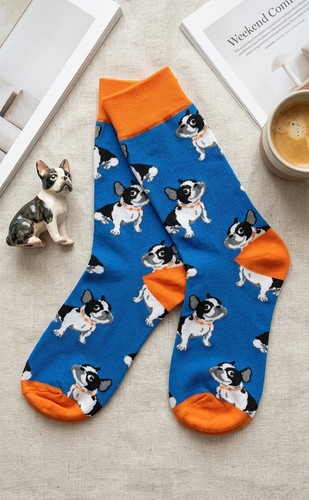 French bulldog novelty socks - bulldog,