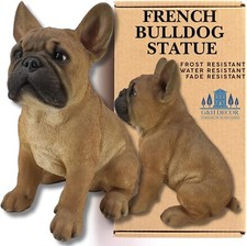French Bulldog Frenchie Dog