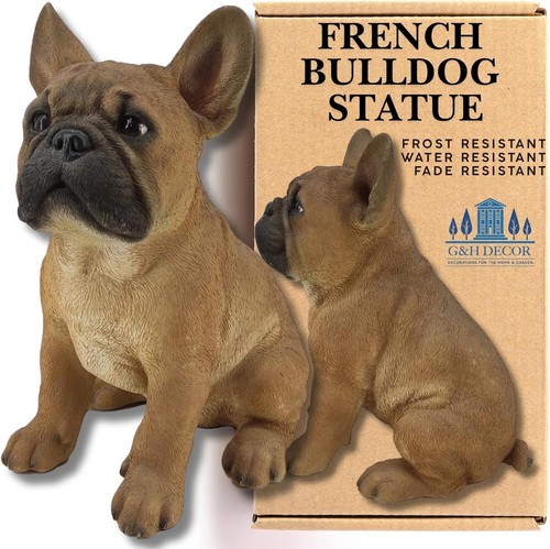 French bulldog frenchie dog - bulldog,