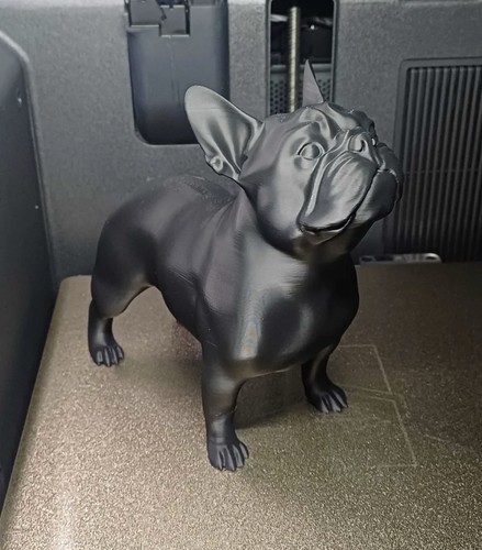 French bulldog black standing - bulldog,