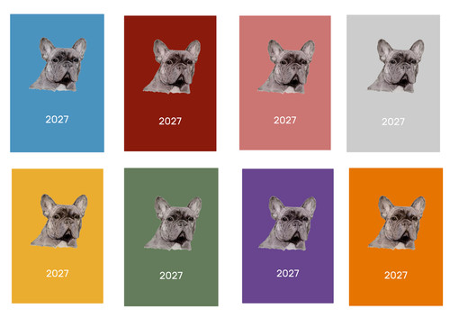 French bulldog 2027 diary a5 - french, diary: