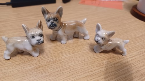 Minature french bull - , set