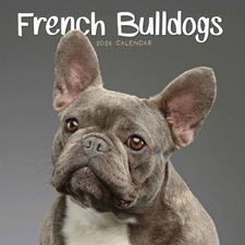 French Bulldogs 2026 Mini Wall
