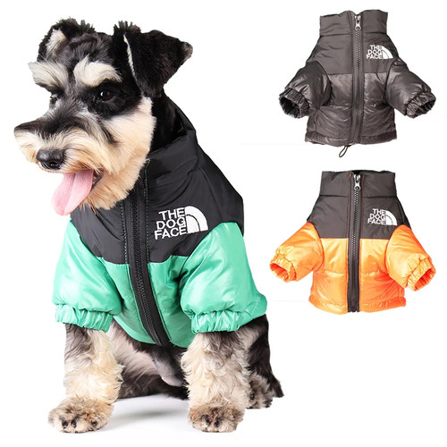 Large winter pet - winter, dog