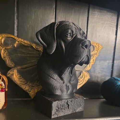 Cane corso bust memorial - corso,