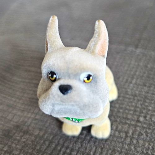 French bulldog dog from - french,