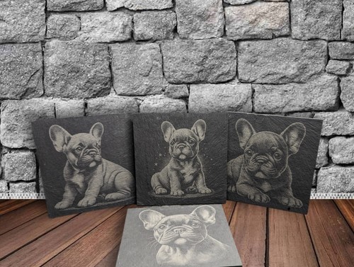 Set french bulldog - set,