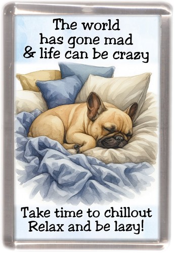 French bulldog frenchie dog - french, bulldog,