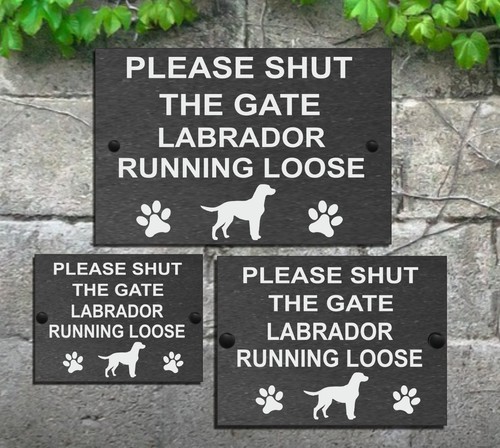 Please shut the - gate, dog