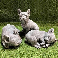 Concrete French Bulldogs