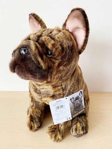 Brindle french bulldog - brindle,