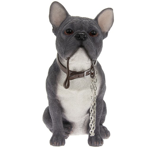 Blue french bulldog frenchie - blue,