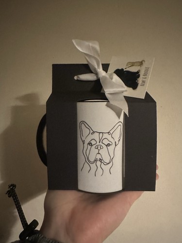 Frenchie french bulldog breed - french,