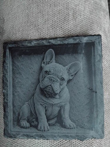 French bulldog slate - french, on