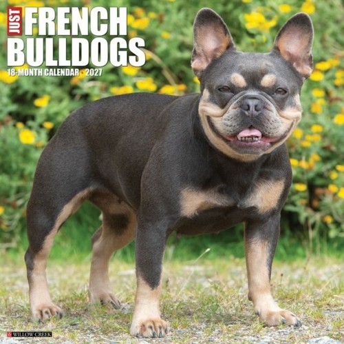 French bulldogs 2027 - french, wall