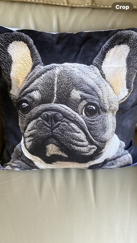 French bulldog effect - 2d,