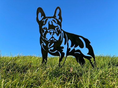 French bulldog frenchie metal - french,