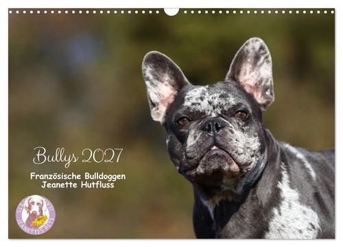 Bullys french bulldogs 2027 - -,
