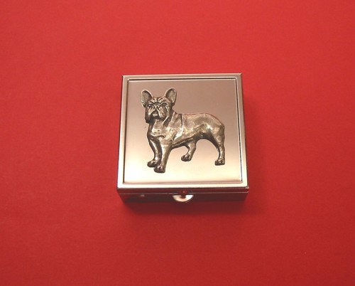 French bulldog square mint - on,