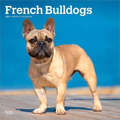French bulldogs 2027 - bulldogs, 12