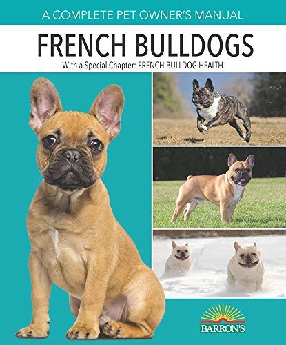 French bulldogs barron s - french,
