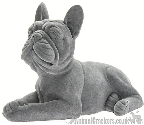 Grey velvet laying french - grey,