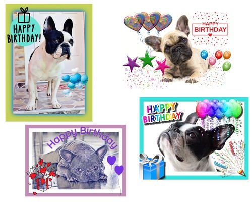 Happy birthday french bulldog - happy,