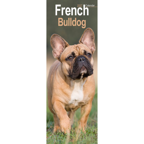 French bulldog slim 2027 - bulldog,