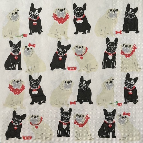 French bulldogs dogs - 2,