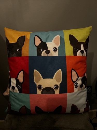 French bulldog cusion - french,