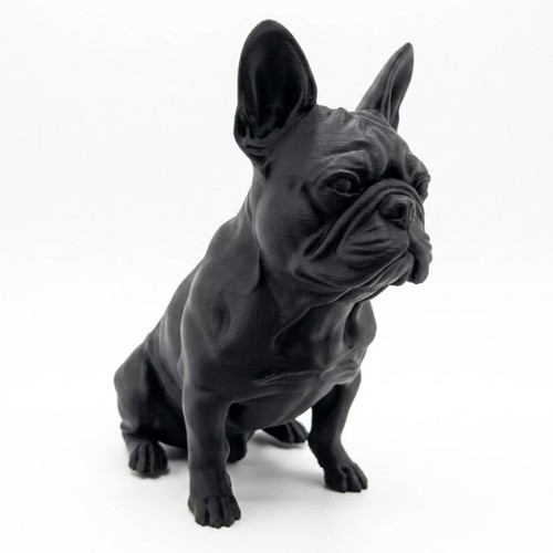 French bulldog dog - french,