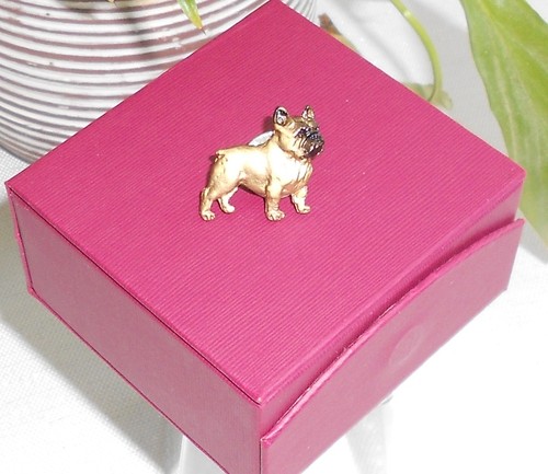 French bulldog frenchie fawn - french,