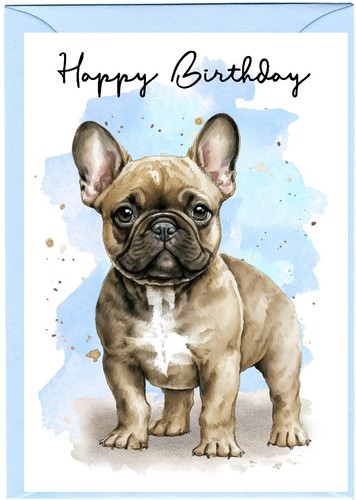 French bulldog - french, 6")