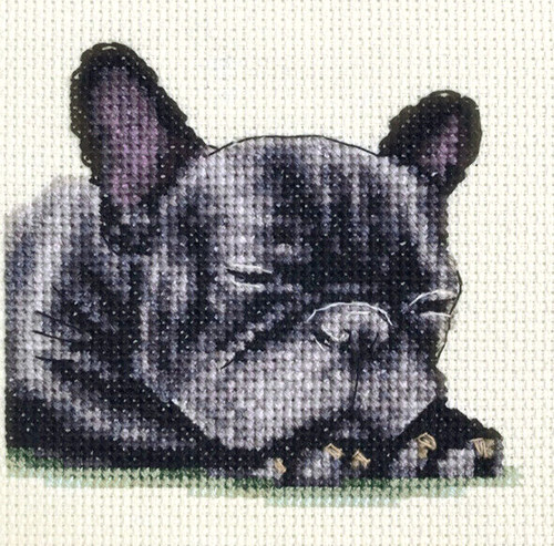 Black french bulldog dog puppy - black,