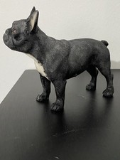 French Bulldog Leonardo