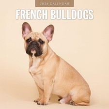French Bulldogs 2026 Square