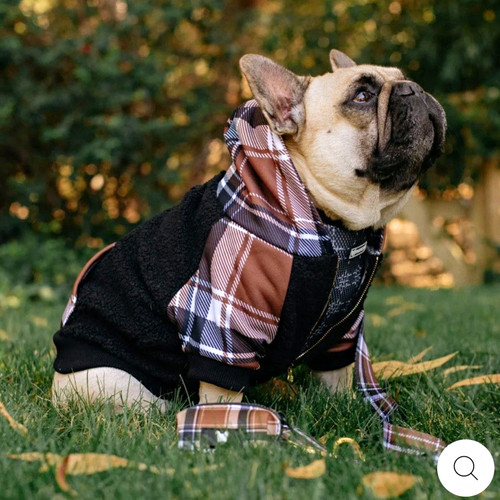 Frenchie bulldog fleece hooded - bulldog,