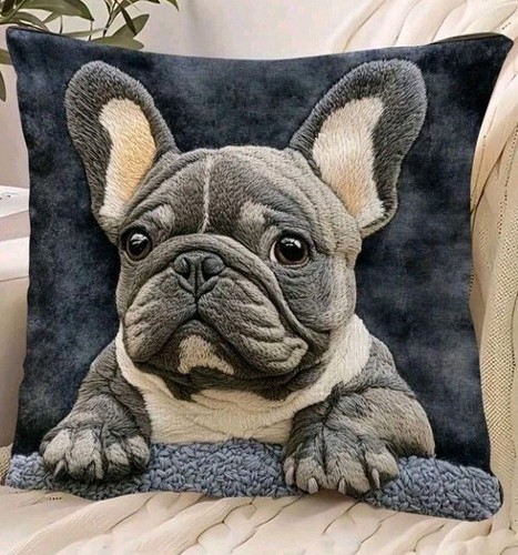Beautiful french bulldog - 1, x