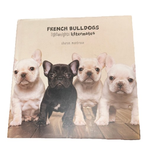 French bulldogs lightweights - bulldogs,