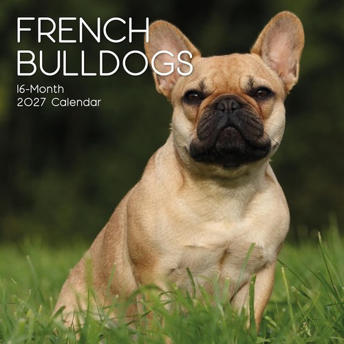 New calendar 2027 french - new,