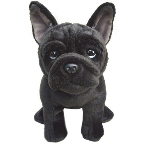 Black french bulldog - black, it