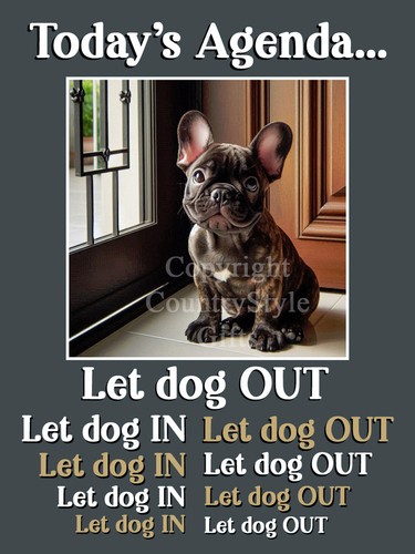 French bulldog fridge - bulldog, magnet